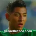 Ronaldo Daniel Arancibia