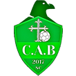 Aguia Brasil