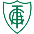 visitante