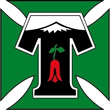 Temuco