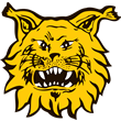 Ilves