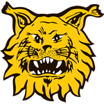 Ilves