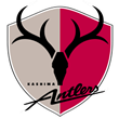 Kashima Antlers